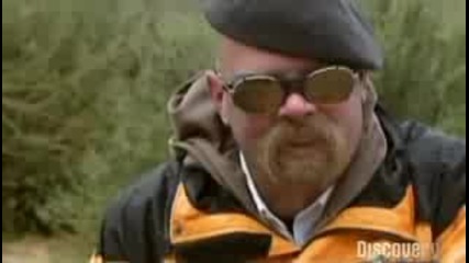 Mythbusters - Are elephants afraid of mice