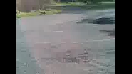 Pe6ko Buskuva