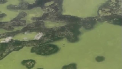 Живот 