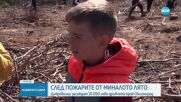 Доброволци засаждат 10 000 нови дръвчета край Свиленград