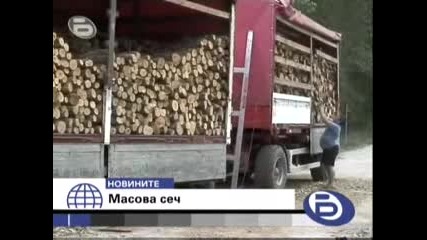 Отсякоха 30 Декара Гора Край Ивайловград!!!