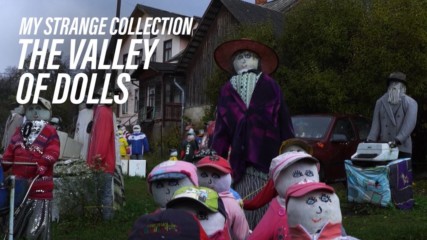 My strange collection: Hundreds of human-sized dolls