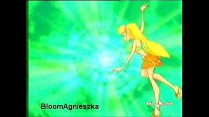 stella