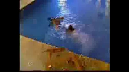 Breaking Free - Dyr