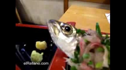 Японците Ядът Жива Риба