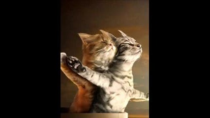 Jason Derulo - Whatcha Say acoustic version 