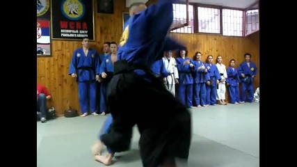 Real Aikido Martial Art Demonstration