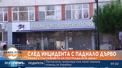 Баща на удареното от дърво дете: Подавани са сигнали за сухото дърво, но общината не е реагирала