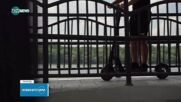 Без каска и с превишена скорост: Детето, паднало от тротинетка в Карлово, е с тежка травма на главата