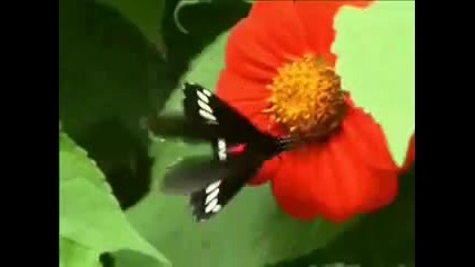 Красотата на планетата Земя !!! 