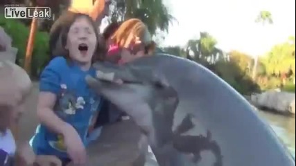 Делфин захапва младо момиче