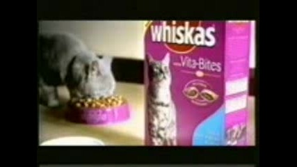 Реклама - Whiskas