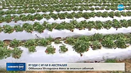 Новините на NOVA (12.11-2018 - късна)