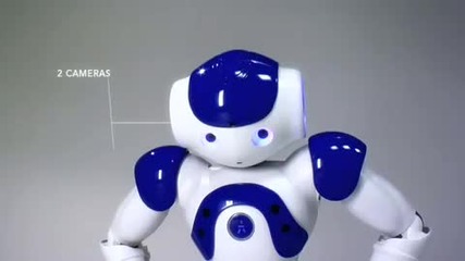 Nao Robot 