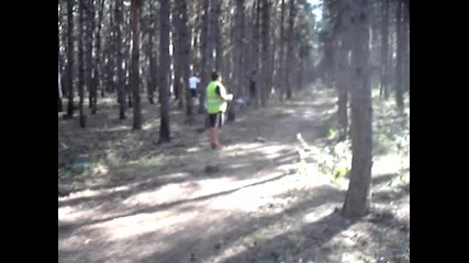 Dh v borovata