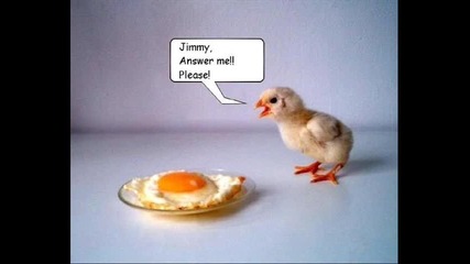 funny photos