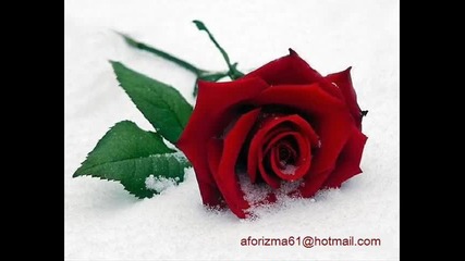 Tripkolic - Gereksizdi Yasamim