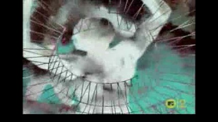 Snap - Rhythm is A dancer