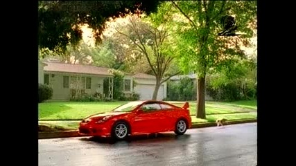 Toyota Celica - Dog