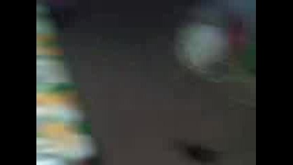 Smahnato kotqncii Phah