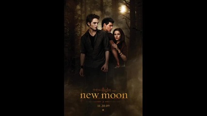 Twilight - New Moon 