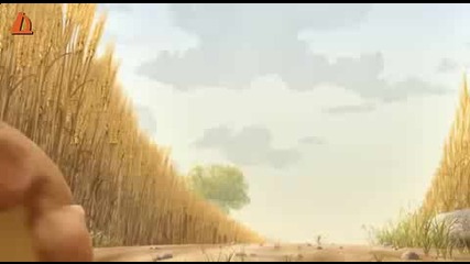 Video Hp 