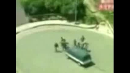Мравки в кола