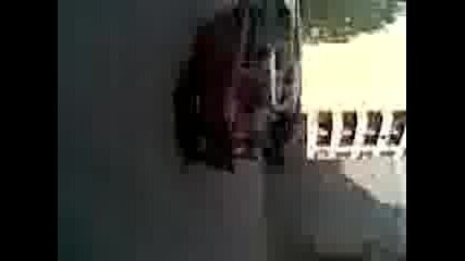 Ludata Jigula 2