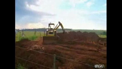 Toва Трябва Да Се Види - Как Изглеждат Мравуняците Отвътре