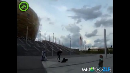 Ястреб напада кутре