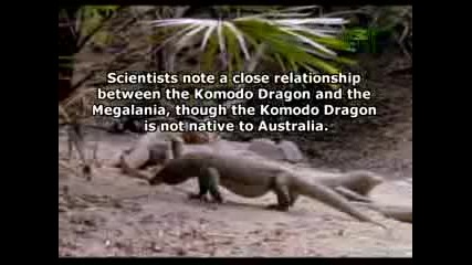 Lost Tapes Devil Dragon aka Megalania