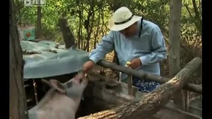 Гошо само тимиси приятел гошо гошо само тимиси приятел гошо !!!