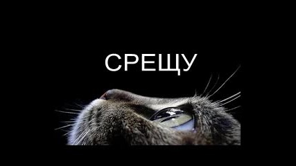 Кой е облечен по добре