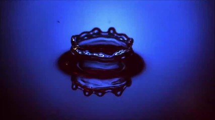 F. A. N. T. A. S. T - Dance Rob D [2011] * H Q *