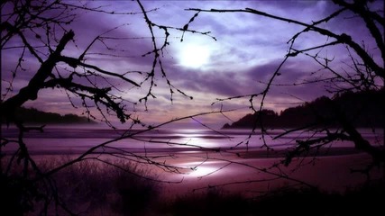 Enis Caliskan - Paradise (original mix)