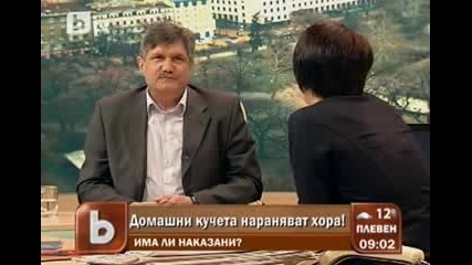 btv - Домашно куче нахапа бебе 