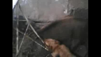 V05 - 12