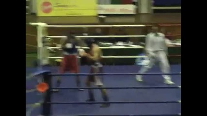 Boxing Kup Bulgaria 