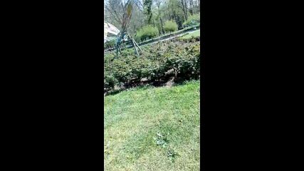 Vid_20230415_145058.mp4