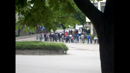 Vida Rally 2010