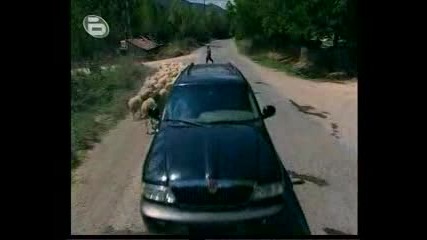 Късчета живот Е01 - 2/2