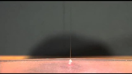Amazing Shampoo Trick 