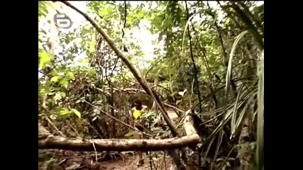 Survivor Bg - Филипините *01.10.09* (част 1)