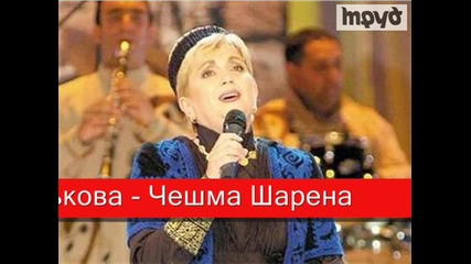 Николина Чакърдъкова - Чешма Шарена