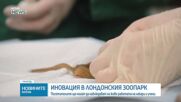 Посетителите в Лондонския зоопарк ще могат да наблюдават на живо работата на лекари и учени