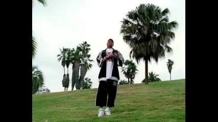 Nelly - Flap Your Wings - 2004   (Promo Only)