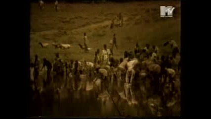 Scorpions - White Dove 