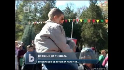 Празник на тиквата в Севлиево 
