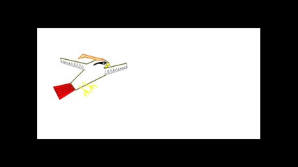 Pidgeot - super sonic 