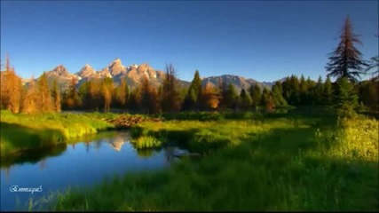 Llewellyn -sapphire Blue